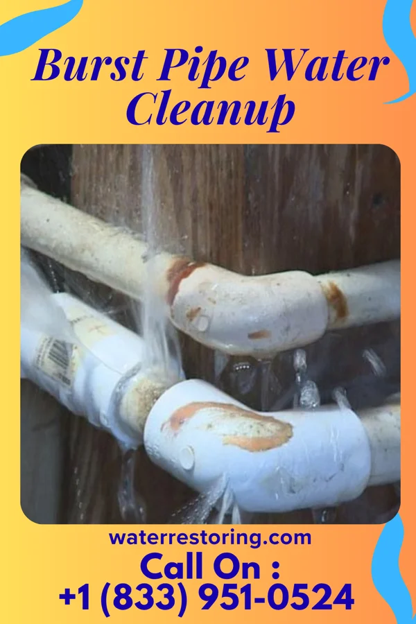 Burst Pipe Water Cleanup in Saint Charles, SC