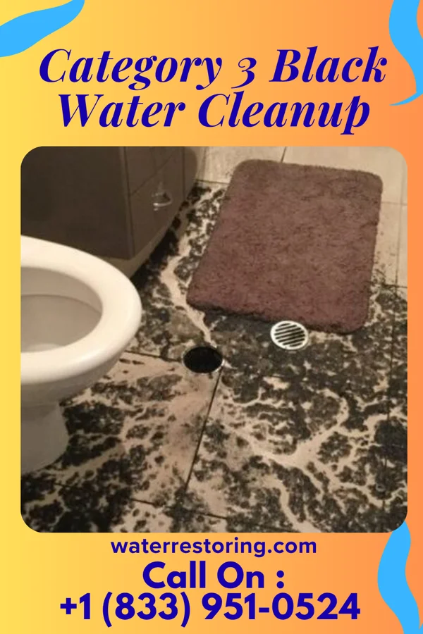 Category 3 Black Water Cleanup in Saint Charles, SC