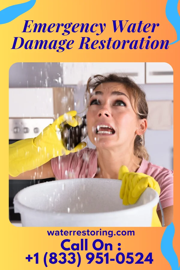 Emergency Water Damage Restoration in Saint Charles, SC